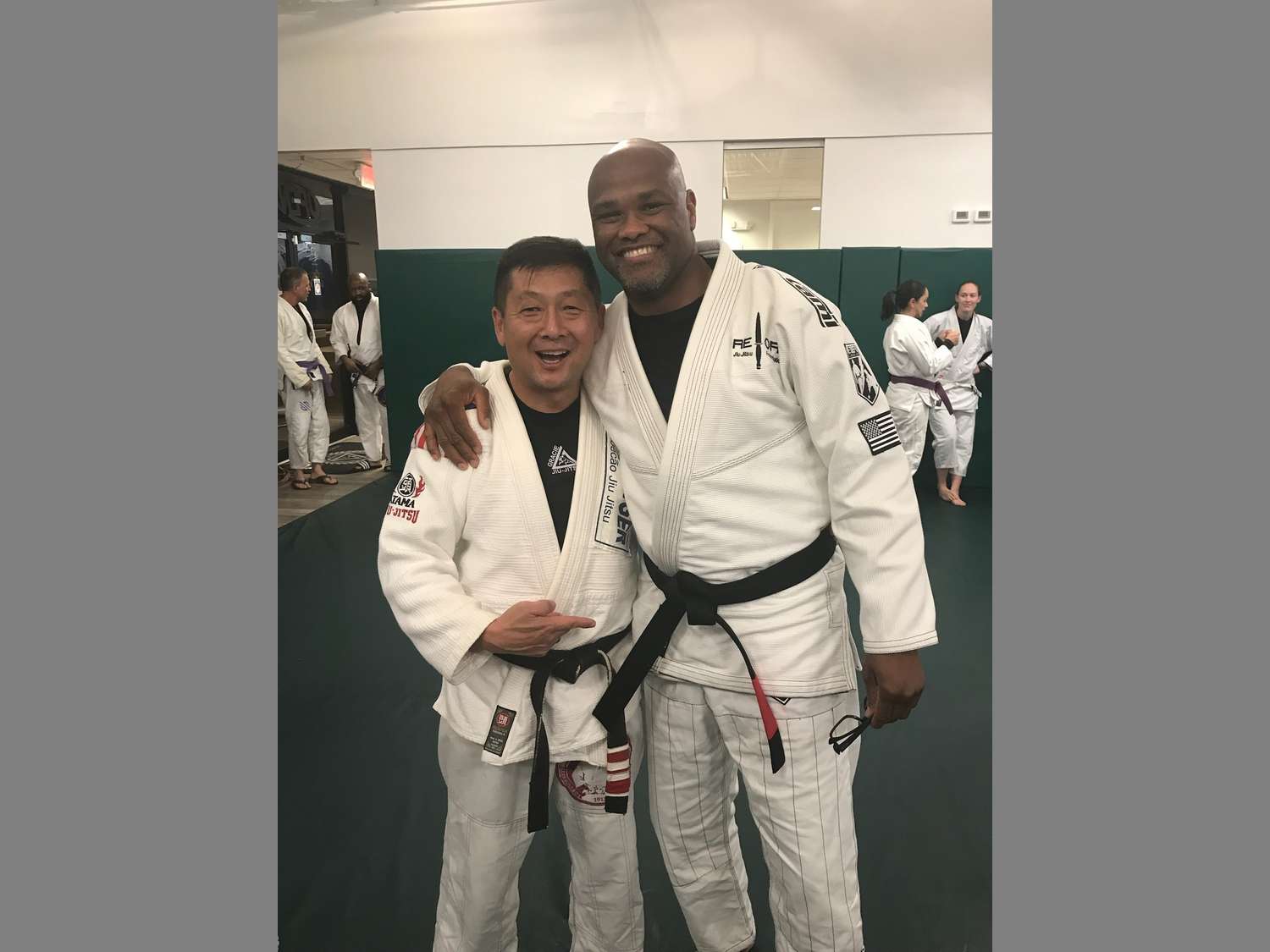 BJJ Professors