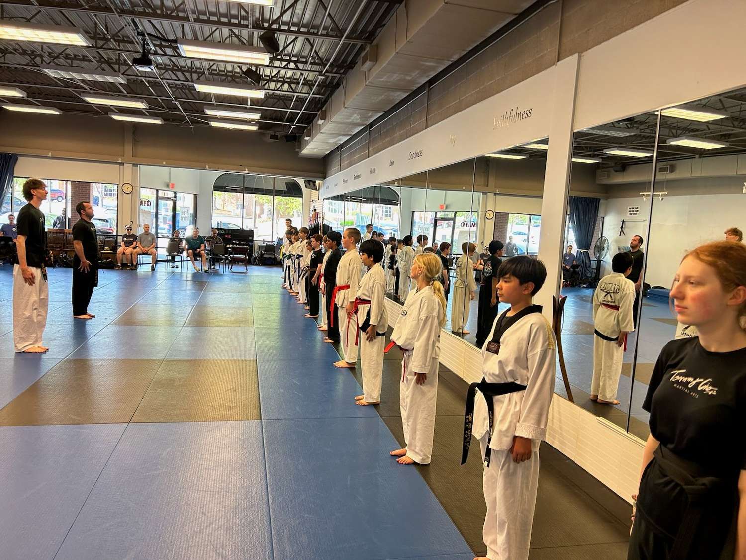 Taekwondo Advanced Belts Line Up